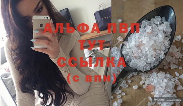 стаф Абаза
