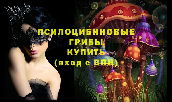 стаф Абаза