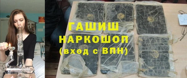 МДПВ Каменка